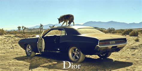 dior sauvage depp car